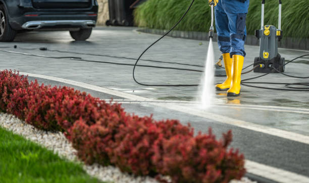 Best Dumpster Area Cleaning  in St Johns, MI
